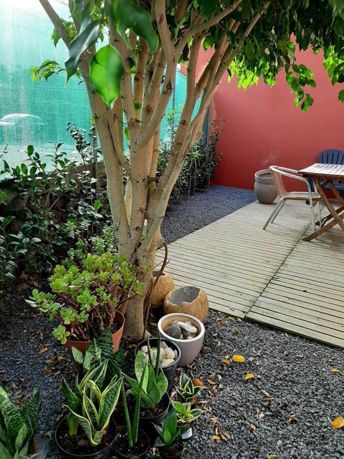 Casa Das Yucas - Patio Apartment Capelas Exterior foto